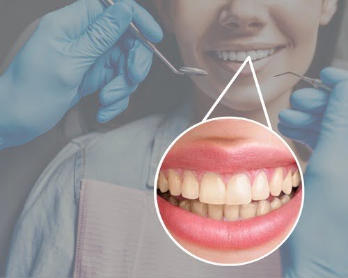 WhatsApp Image 2023-12-08 at 5.12.16 PM