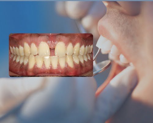 WhatsApp Image 2023-12-08 at 6.12.38 PM (1)