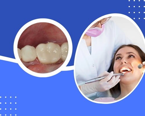 WhatsApp Image 2023-12-09 at 2.50.00 PM (2)