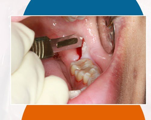 WhatsApp Image 2023-12-12 at 5.57.01 PM (1)